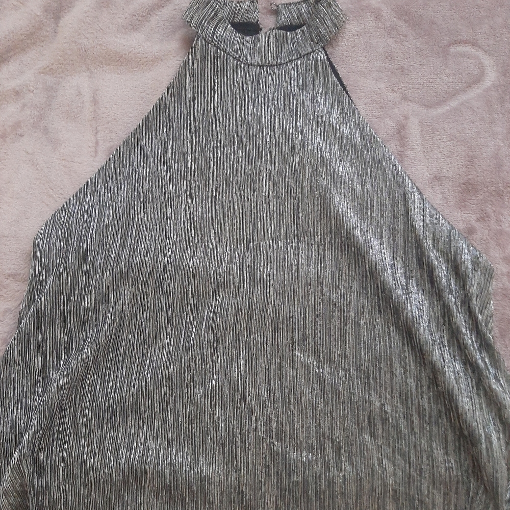 Sleeveless Top in Silver